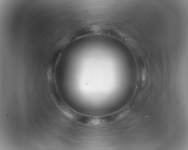 X0000076030611200609221055