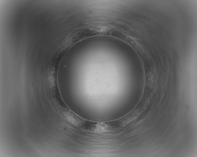 X0000076030612200609221055