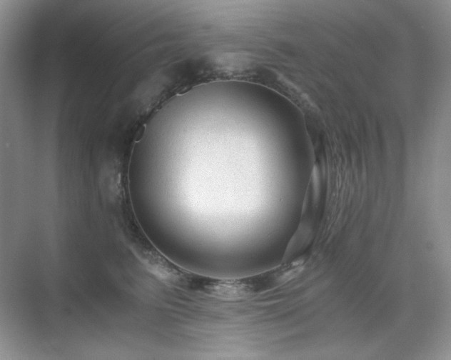 X0000076030615200609221055