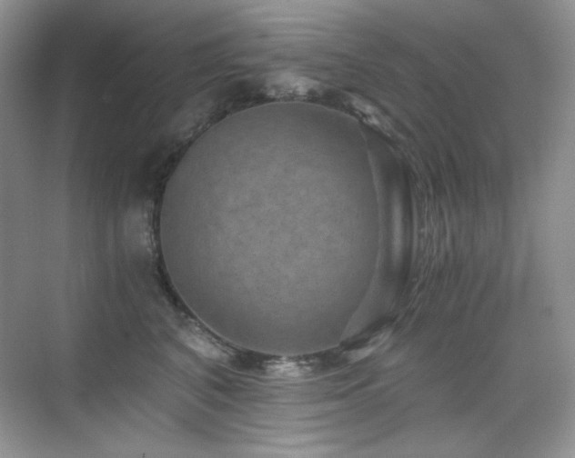 X0000076030616200609221055