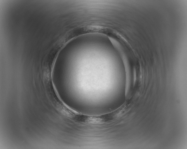 X0000076030617200609221055
