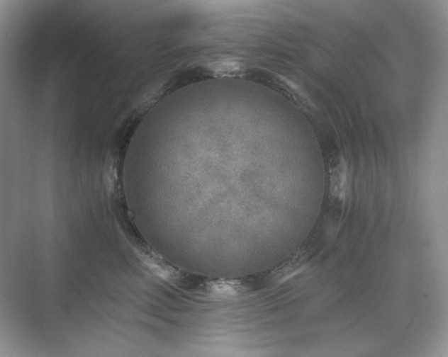 X0000076030618200609221055