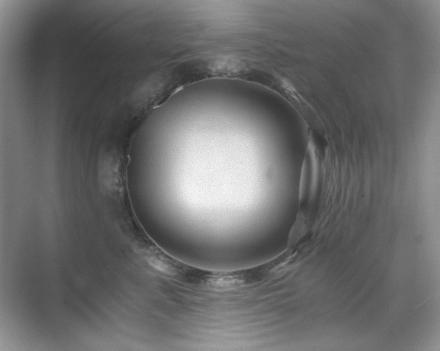 X0000076030619200609221055