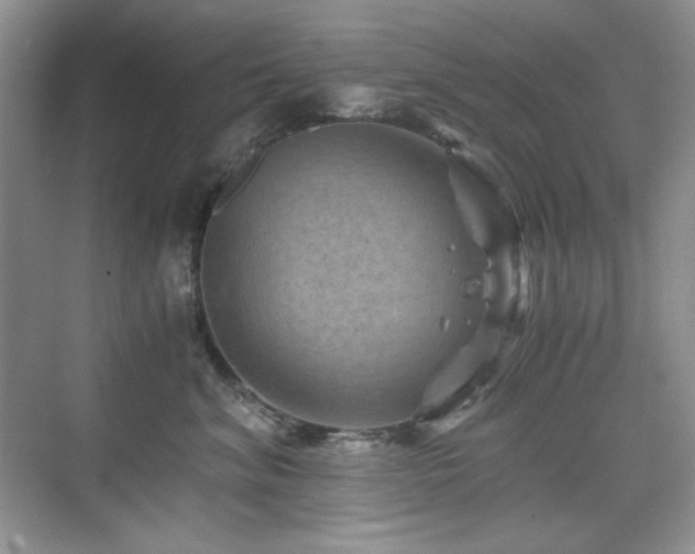 X0000076030620200609221055