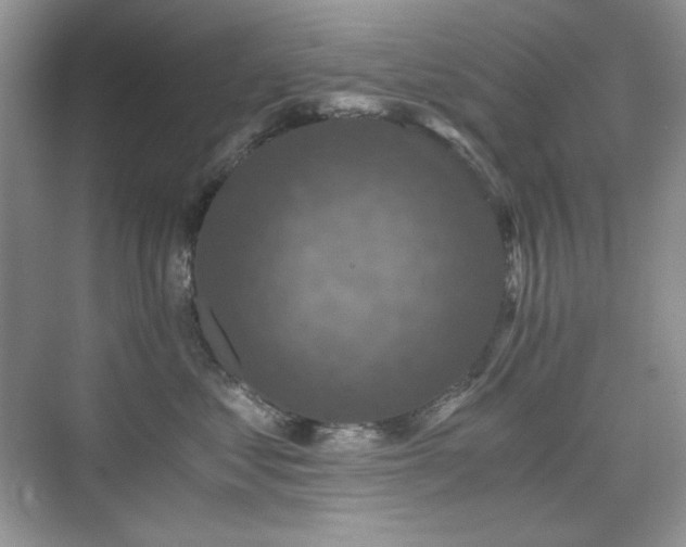 X0000076030621200609221055