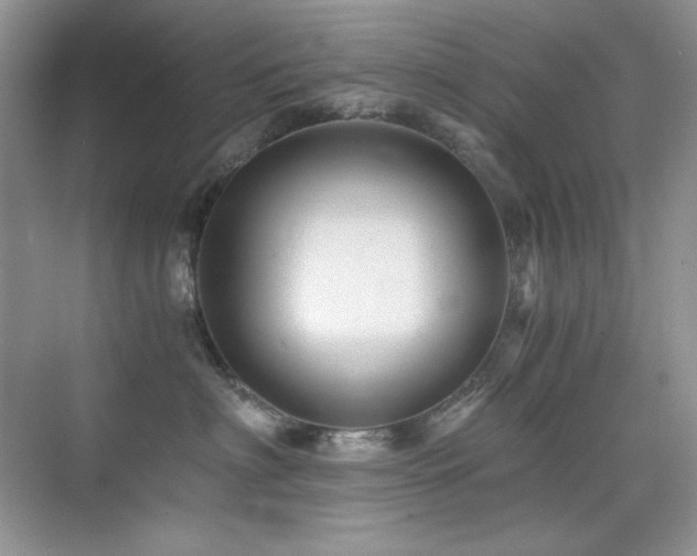 X0000076030622200609221055
