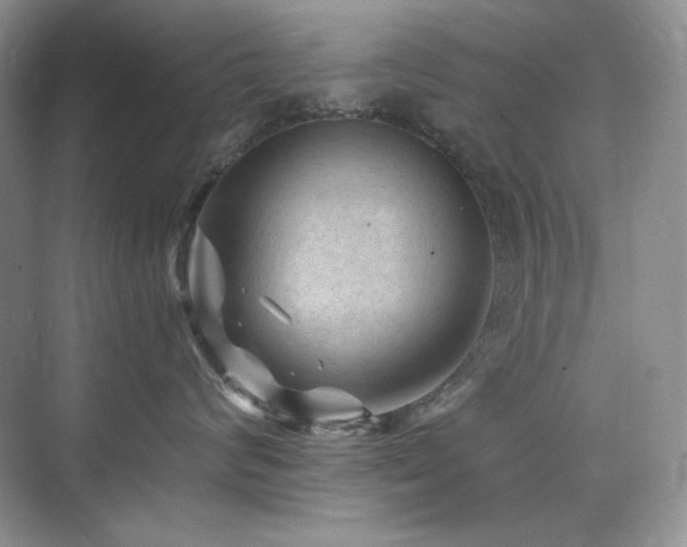 X0000076030624200609221055