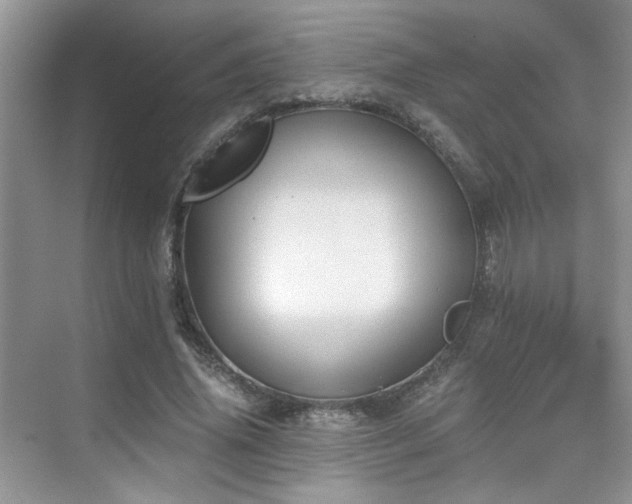 X0000076030636200609221054