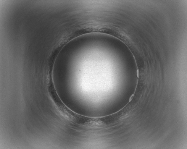 X0000076030642200609221055
