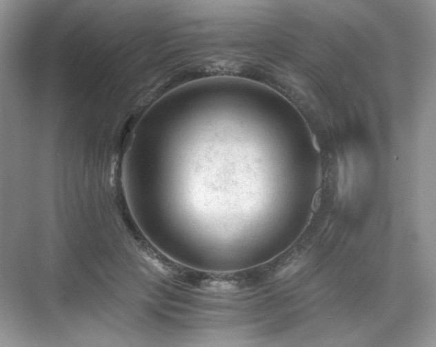 X0000076030649200609221055