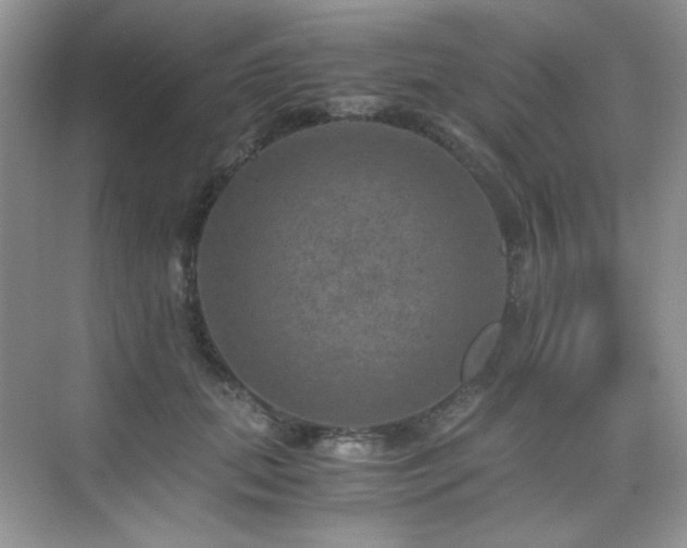 X0000076030655200609221055