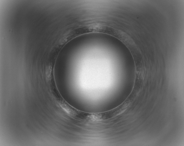 X0000076030660200609221055