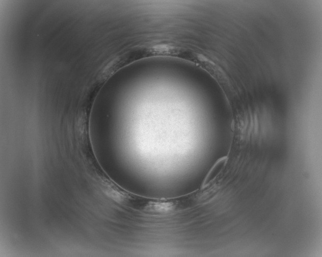 X0000076030665200609221055