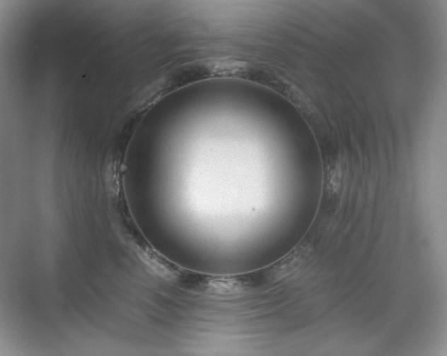X0000076030666200609221055