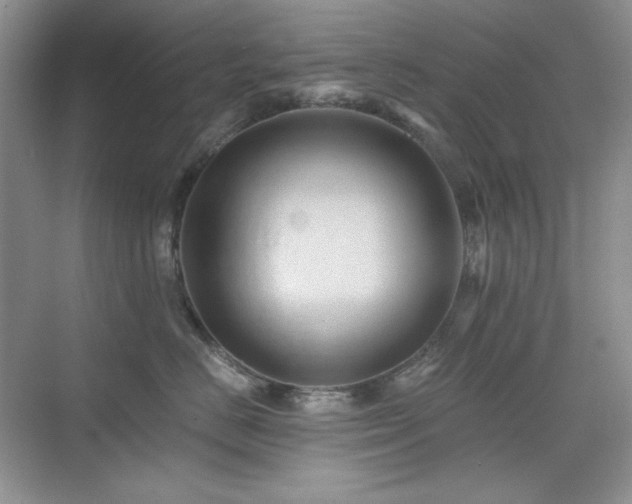 X0000076030670200609221055