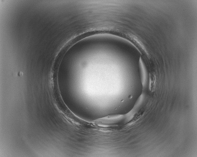 X0000076030676200609221054