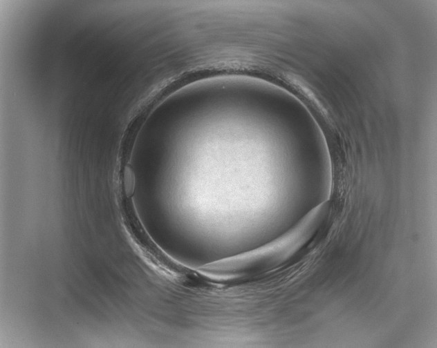 X0000076030677200609221054