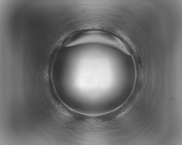 X0000076030681200609221054