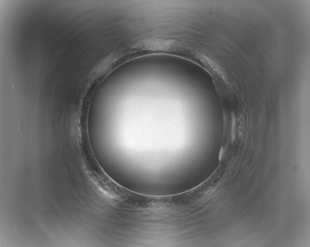 X0000076030682200609221054