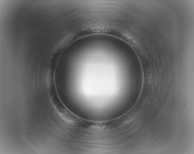 X0000076030690200609221054