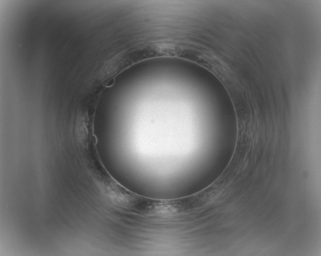 X0000076030702200609221054