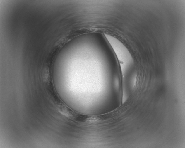 X0000076030704200609221054