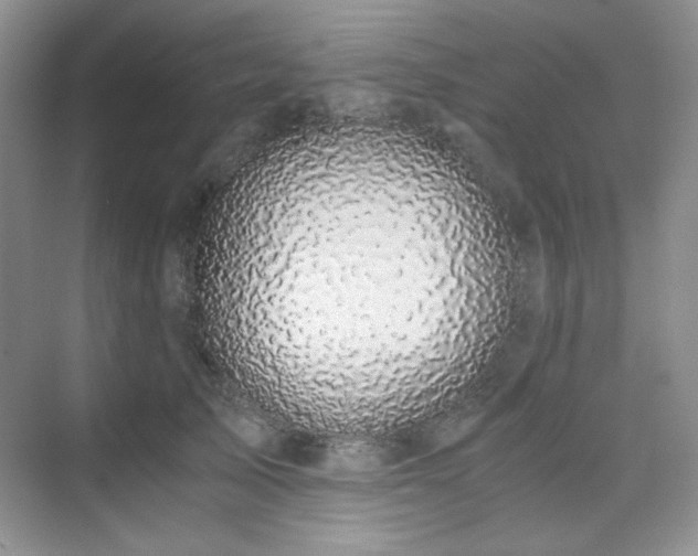 X0000076030705200609221054