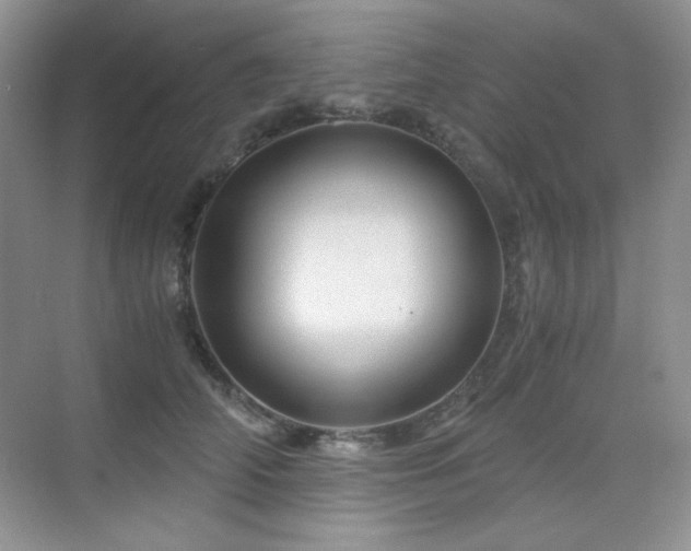 X0000076030706200609221054
