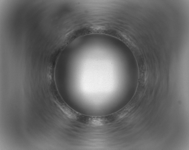 X0000076030710200609221054