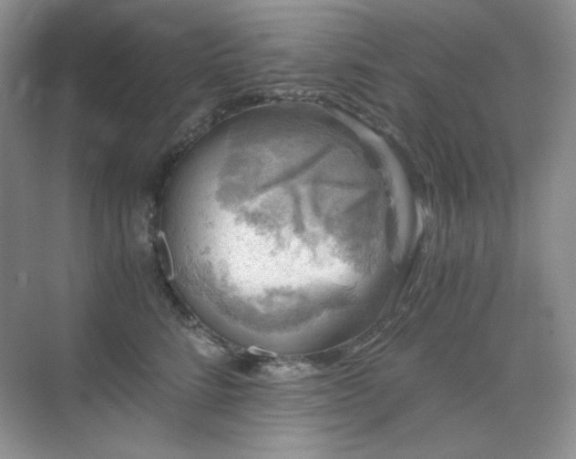 X0000076030712200609221054