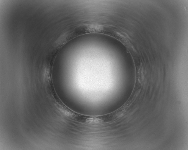 X0000076030714200609221054