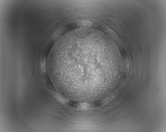X0000076030717200609221054