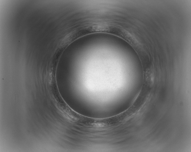 X0000076030741200609221053
