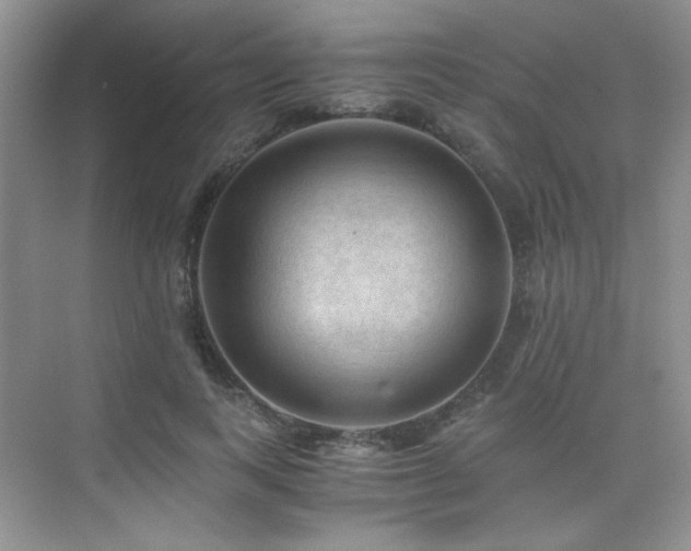 X0000076030743200609221053