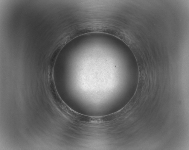 X0000076030744200609221053
