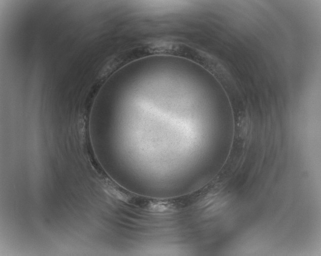 X0000076030753200609221053