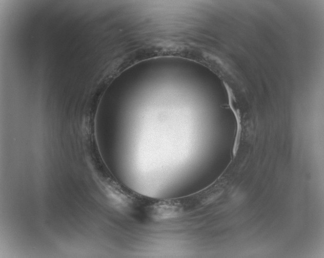 X0000076030756200609221053