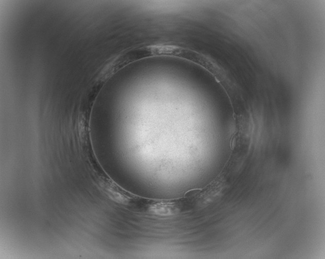 X0000076030761200609221053