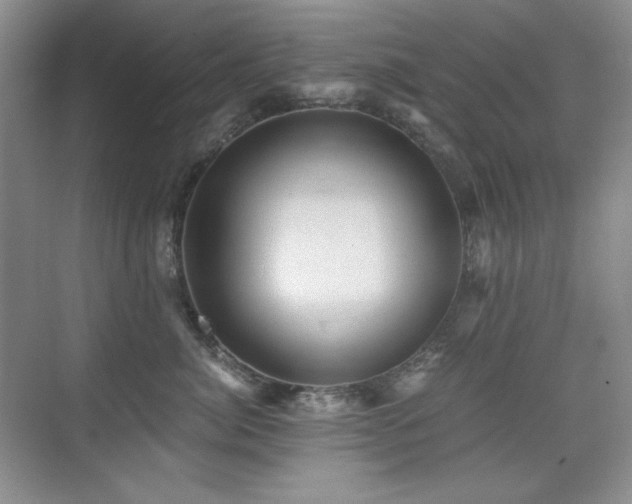 X0000076030764200609221053