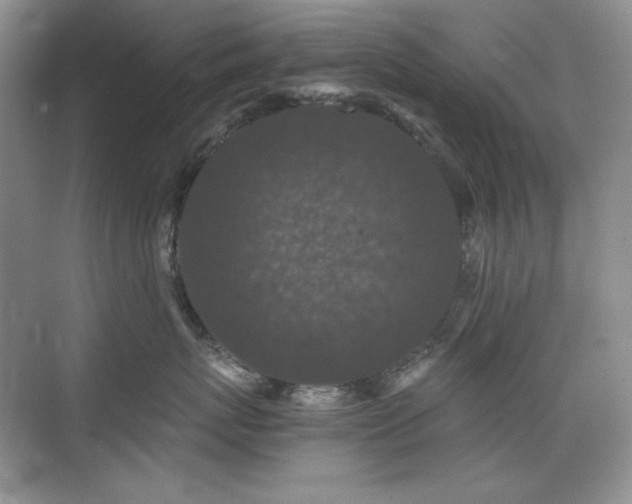 X0000076030767200609221053
