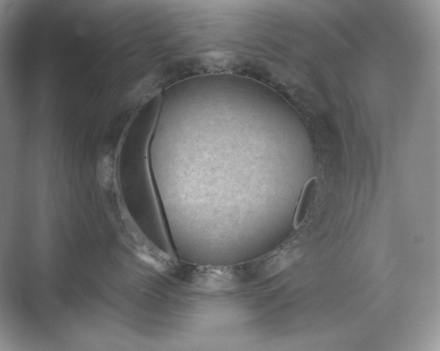 X0000076030768200609221053