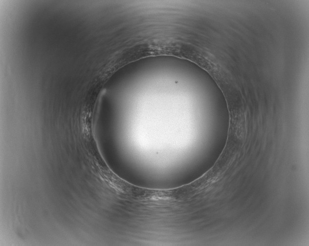 X0000076030770200609221053