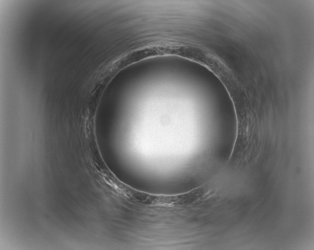 X0000076030773200609221053