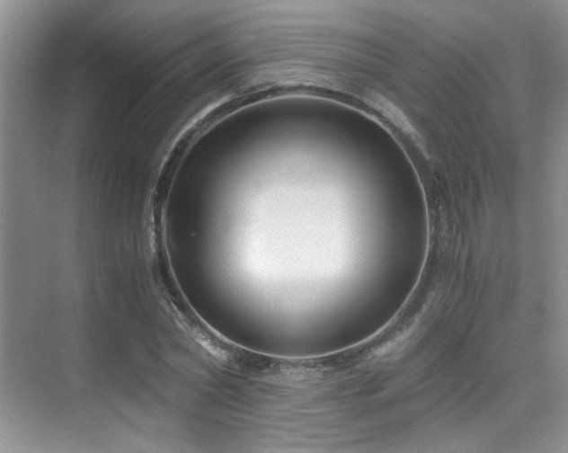 X0000076030782200609221052
