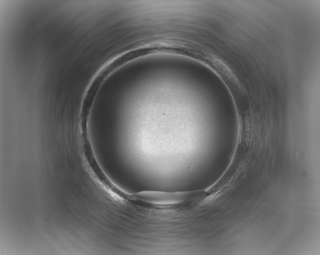 X0000076030784200609221052
