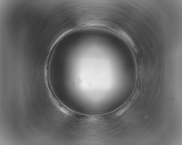 X0000076030814200609221052