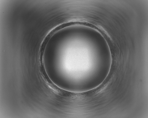 X0000076030830200609221051