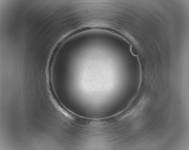 X0000076030840200609221051