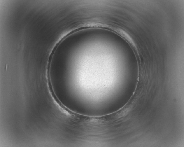 X0000076030847200609221052