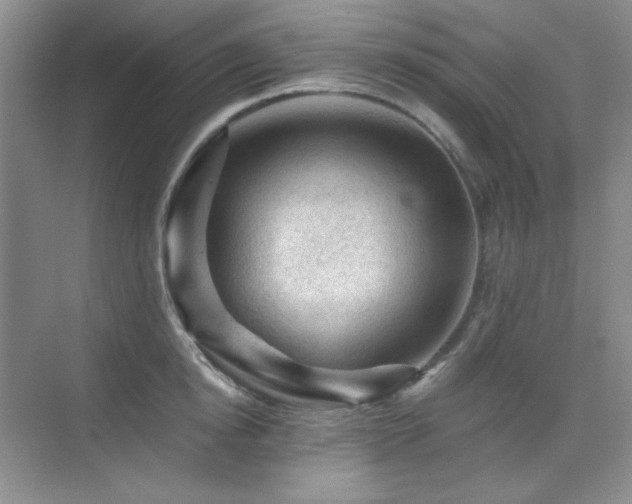 X0000076030854200609221052